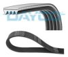 DAYCO 4PK1395 V-Ribbed Belts
